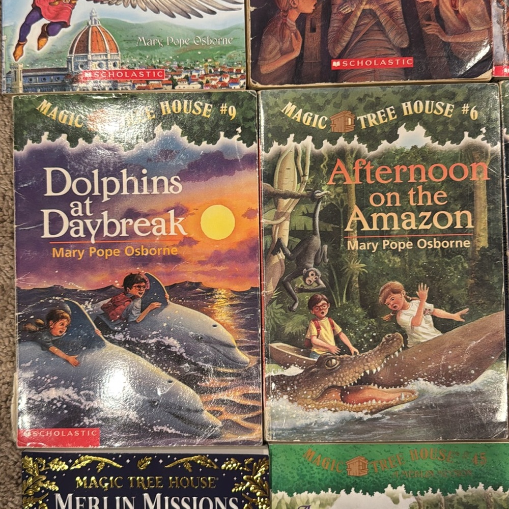 Magic Tree House Books Lot plus Extra - Picture 3 of 6